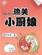 边关小厨娘小说