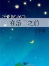 在落日之前小说