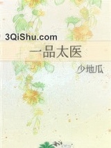 一品太医小说