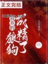 我养的狼狗成精了小说