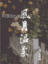 风月温柔小说
