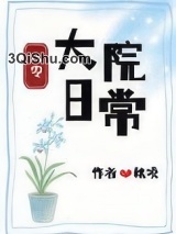 大院日常[八零]小说
