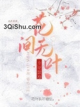 花间无叶小说
