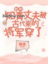 我的知青丈夫被古代来的将军穿了小说