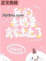 我的未婚妻离家出走了小说
