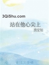 站在他心尖上小说