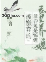 被嫌弃的童养媳是锦鲤（穿书）小说