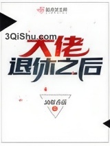 大佬退休之后小说