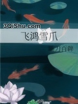飞鸿雪爪小说