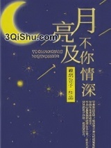 月亮不及你情深小说