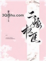 二嫁权臣小说