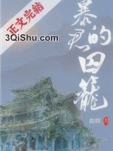 暴君的囚笼小说