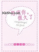想宠你，很久了小说
