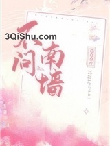 不问南墙小说