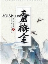 青梅令（重生）小说