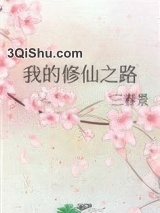 我的修仙之路小说