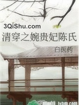 清穿之婉贵妃陈氏小说