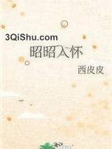 昭昭入怀小说