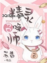 精灵召唤师小说