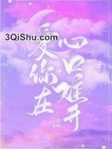爱你在心口难开小说