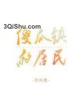 傻瓜镇的居民小说