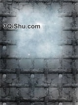 王虫在上[虫族]小说