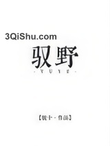驭野小说
