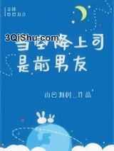 当空降上司是前男友小说