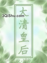 穿到大清做皇后小说