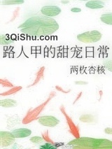 路人甲的甜宠日常小说