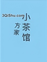 方家小茶馆小说