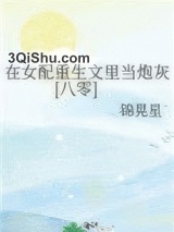在女配重生文里当炮灰[八零]小说