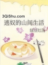 逃奴的山间生活小说