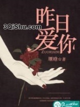 昨日爱你小说