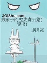 败家子的宠妻青云路（穿书）小说