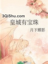 皇城有宝珠小说