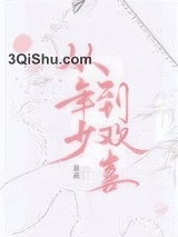 从年少到欢喜小说