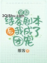 拿稳绿茶剧本后我爆红了小说