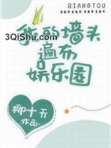 我的墙头遍布娱乐圈[穿书]小说