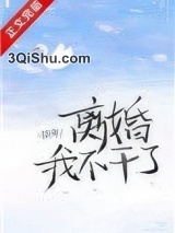 离婚！我不干了小说