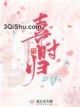 喜时归小说