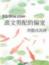 虐文男配的偏宠小说