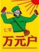 七零万元户小说