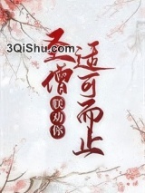 圣僧，朕劝你适可而止小说