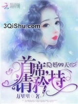 隐婚99天：首席，请矜持小说