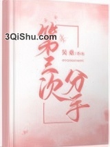 第三次分手小说