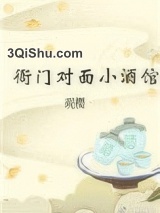 衙门对面小酒馆小说