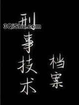 刑事技术档案小说