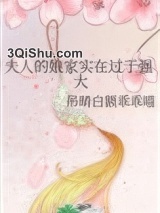 夫人的娘家实在过于强大小说