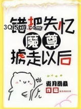 错把失忆魔尊掳走以后小说